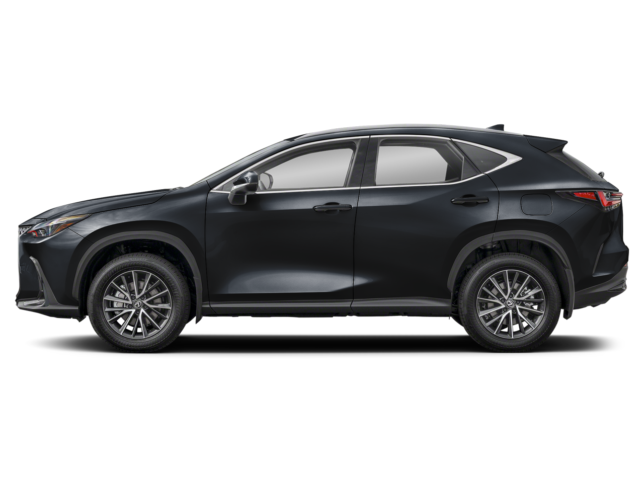 2024 Lexus NX 350 photo 2
