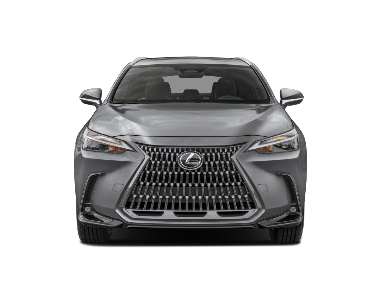 2024 Lexus NX 350 photo 3