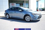 2025 Toyota Corolla Hybrid XLE